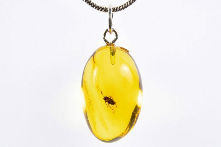 Polished Baltic Amber Pendant (Necklace) - Contains Insect! #322033